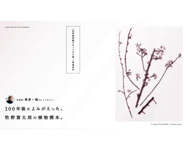 〈菅原一剛〉インタビュー記事がほぼ日刊イトイ新聞に掲載されました strawberry pictures inc.