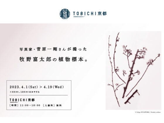 〈菅原一剛〉TOBICHI京都『写真家・菅原一剛さんが撮った牧野富太郎の植物標本。』展開催