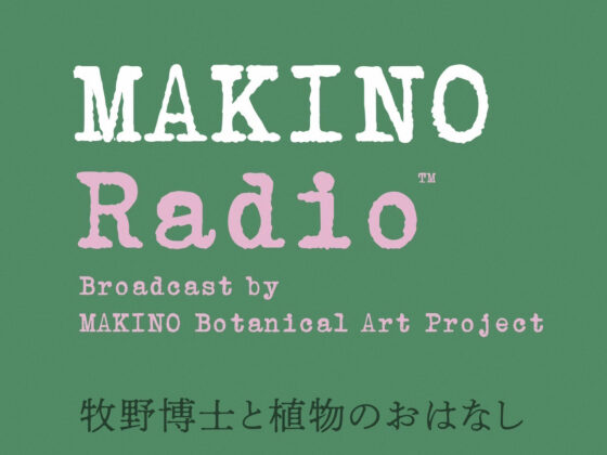 〈菅原一剛　MAKINO Botanical Art Project『マキノラジオ』配信開始〉