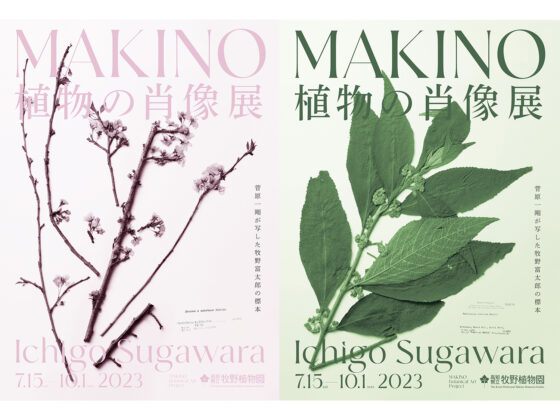 〈菅原一剛〉高知県立牧野植物園にて『MAKINO植物の肖像』展開催